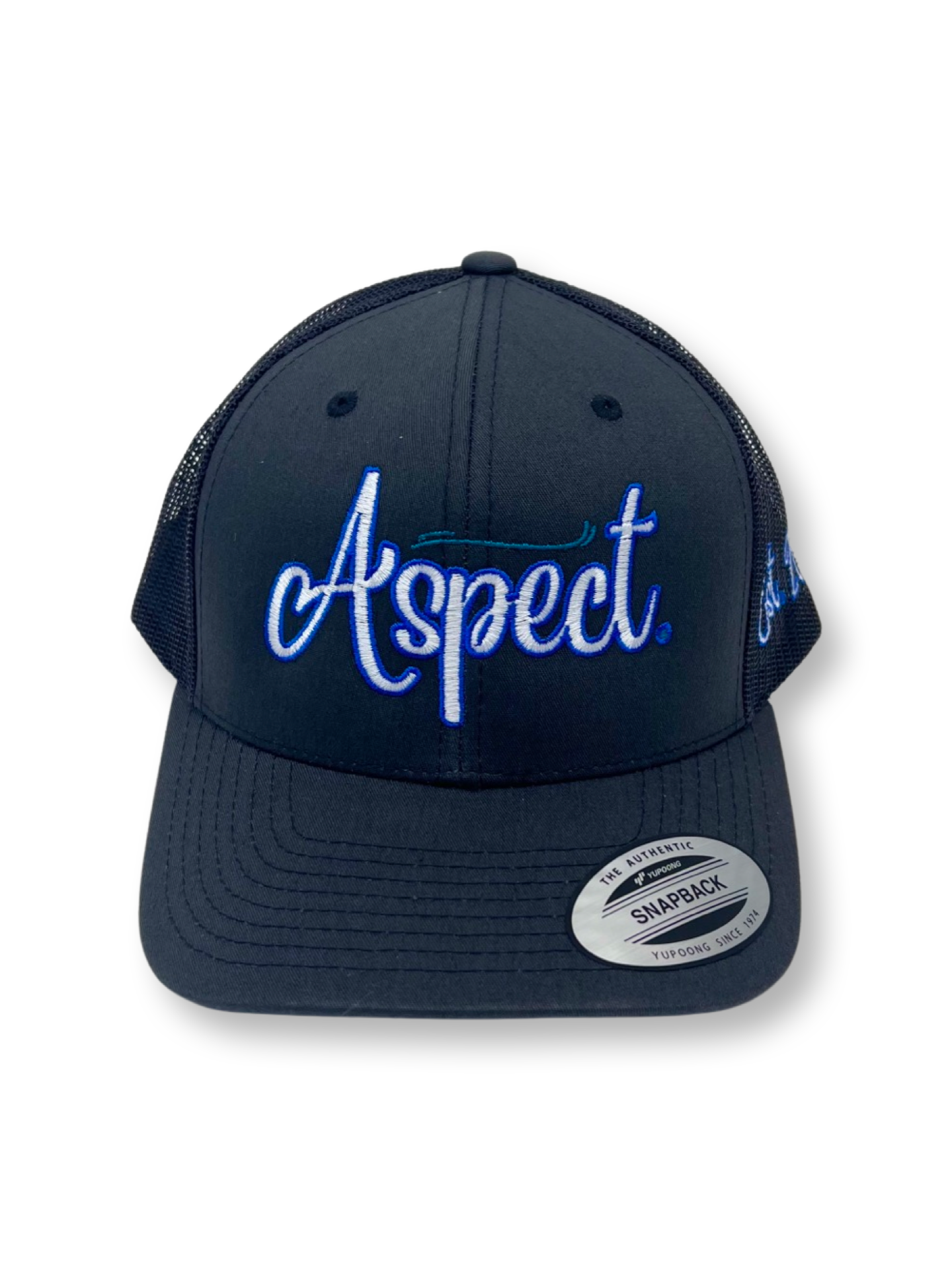 Aspect Attire 2.0 grey cap